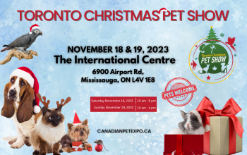 Toronto Christmas Pet Show