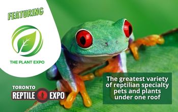 Toronto Reptile Expo featuring The Plant Expo