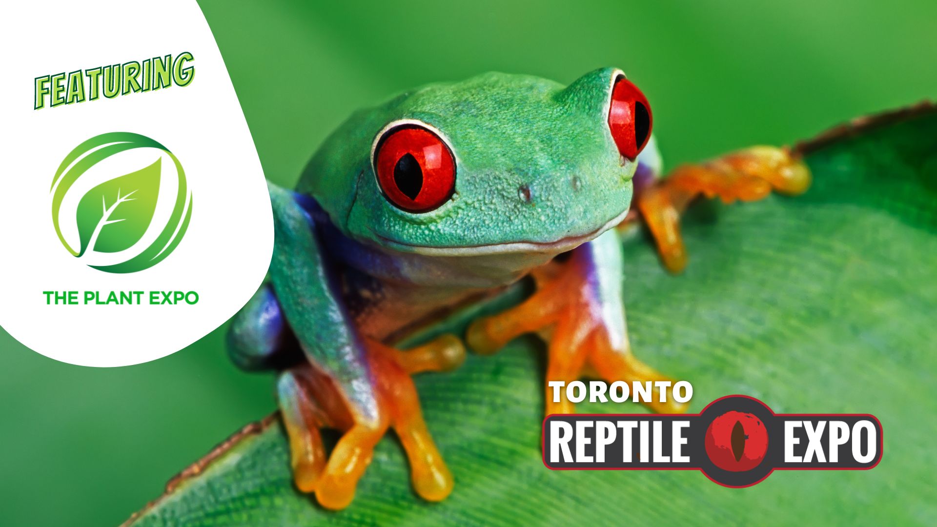 Toronto Reptile Expo featuring The Plant Expo