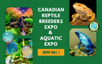 Canadian Reptile Breeders Expo and Canadian Aquatic Expo