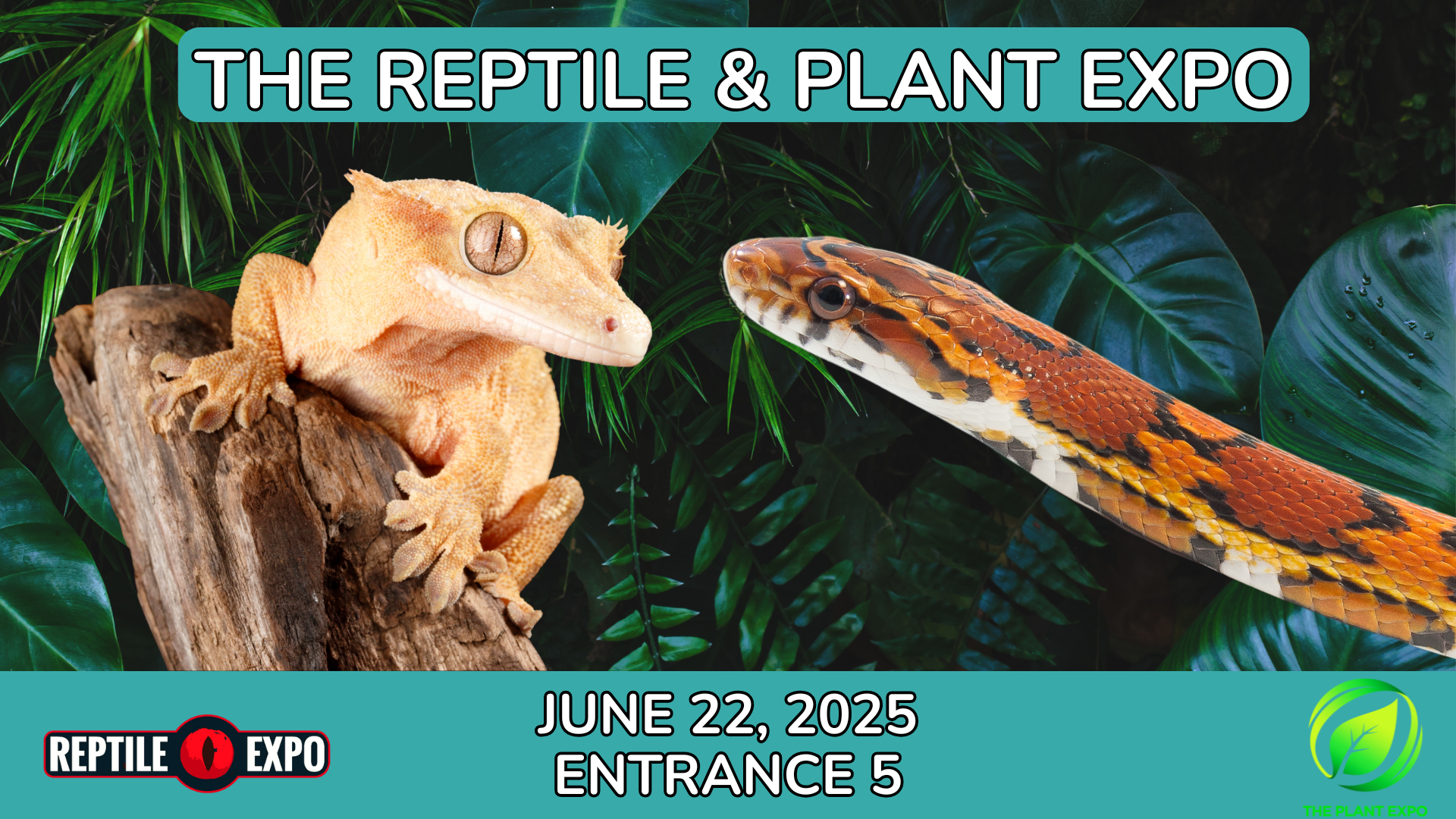 /site_files/content/reptile_june_25/tic-webpage-banner---1--1.png